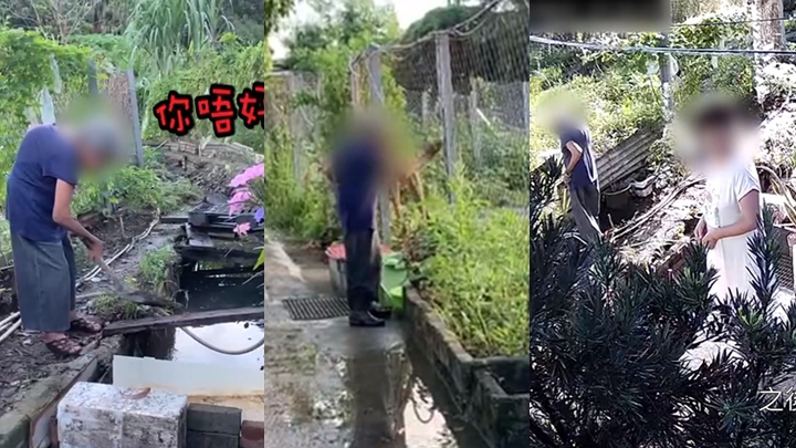 《東張西望》連日跟進元朗洪水橋的村霸婆婆塞渠情況。