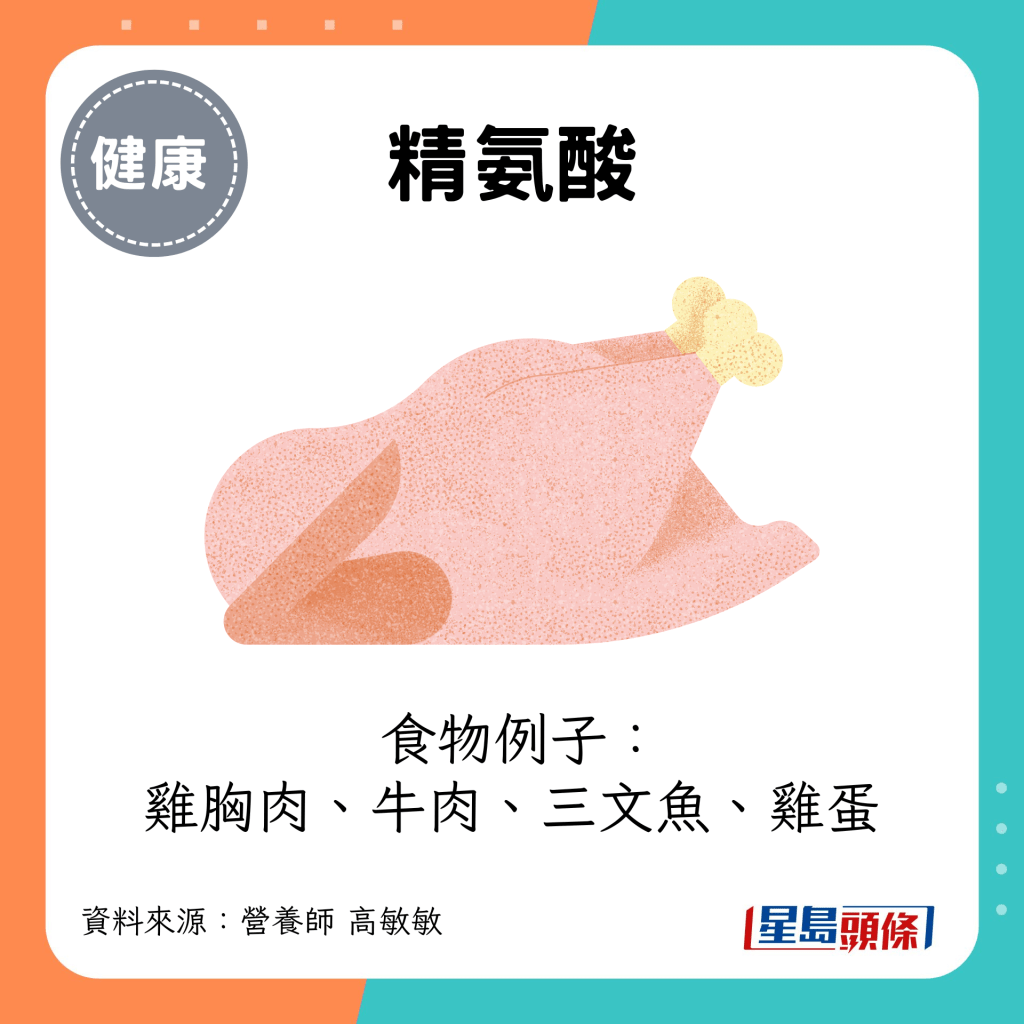 食物例子：雞胸肉、牛肉、三文魚、雞蛋