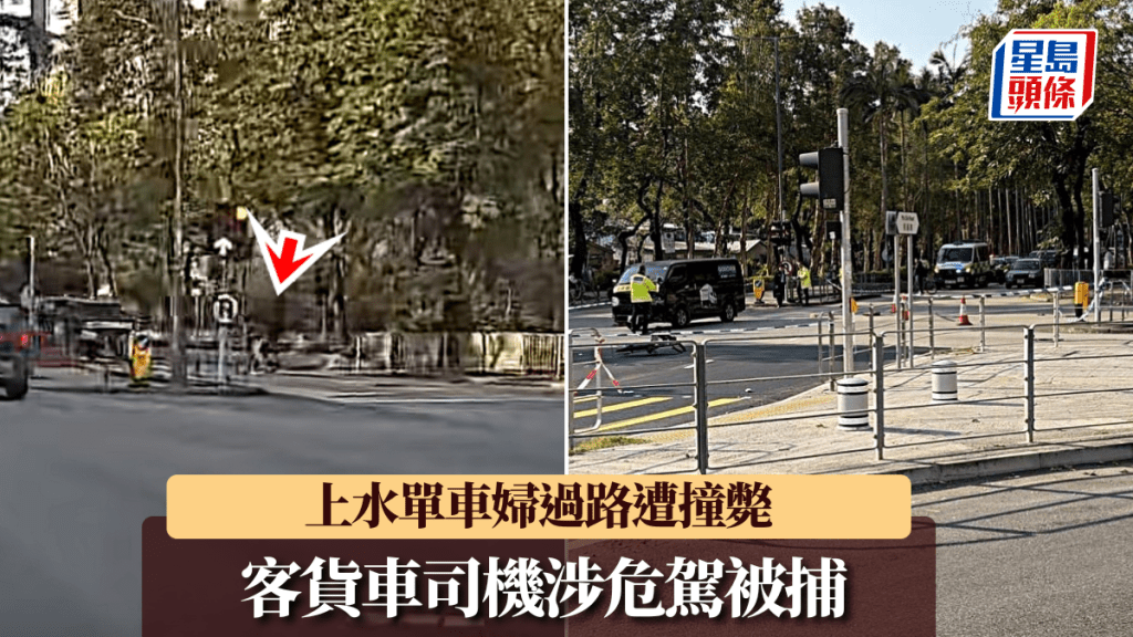 車cam直擊｜上水單車婦過馬路 遭客貨車撞斃 司機涉危駕被捕