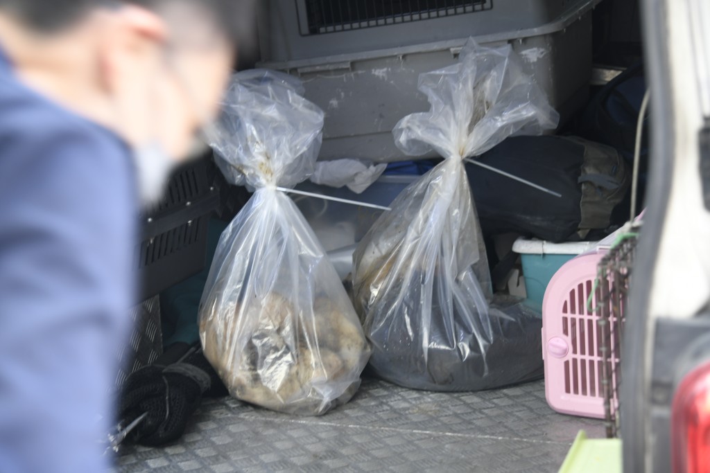 死去的包括一隻牧羊狗、一隻白色貴婦細狗。 死去的包括一隻牧羊狗、一隻白色貴婦細狗。
