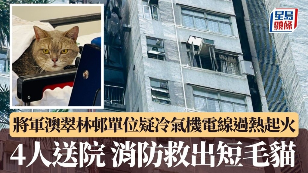 將軍澳翠林邨單位疑冷氣機電線過熱起火 4人送院 消防救出短毛貓