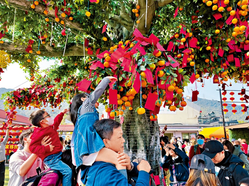 巿民可在許願樹前拋寶牒許願。