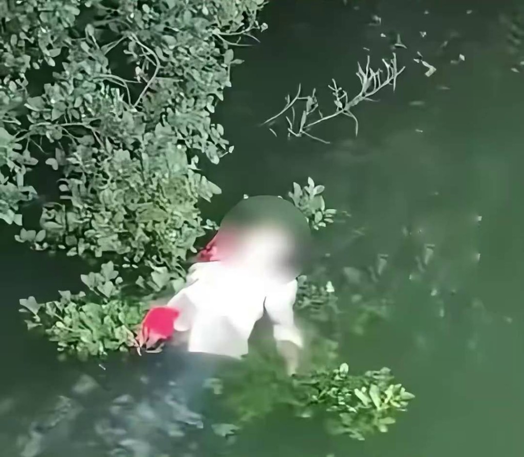 女子躺海南海口人民公園水面漂浮，引來路人圍觀。