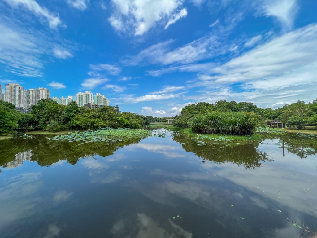 為響應國家由今年起將8月15日設立為全國生態日，香港濕地公園將於當天免費開放。資料圖片