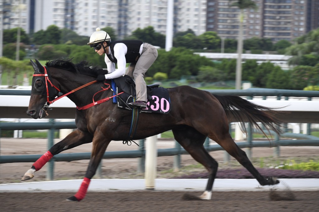 「辰速密碼」在829場次已經露光，新季轉五歲的南半球馬，估計巫偉傑應該心急交代，且看搏殺之時會否是冷門。