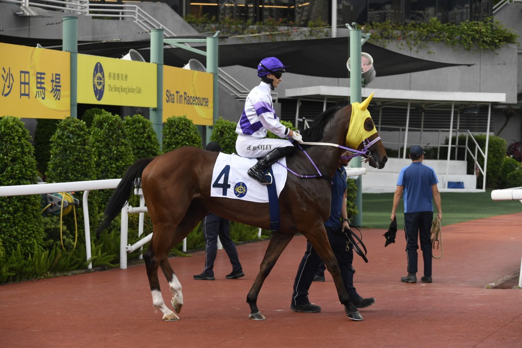 「香飄萬里」可期演出續進，有機會贏回一場頭馬。