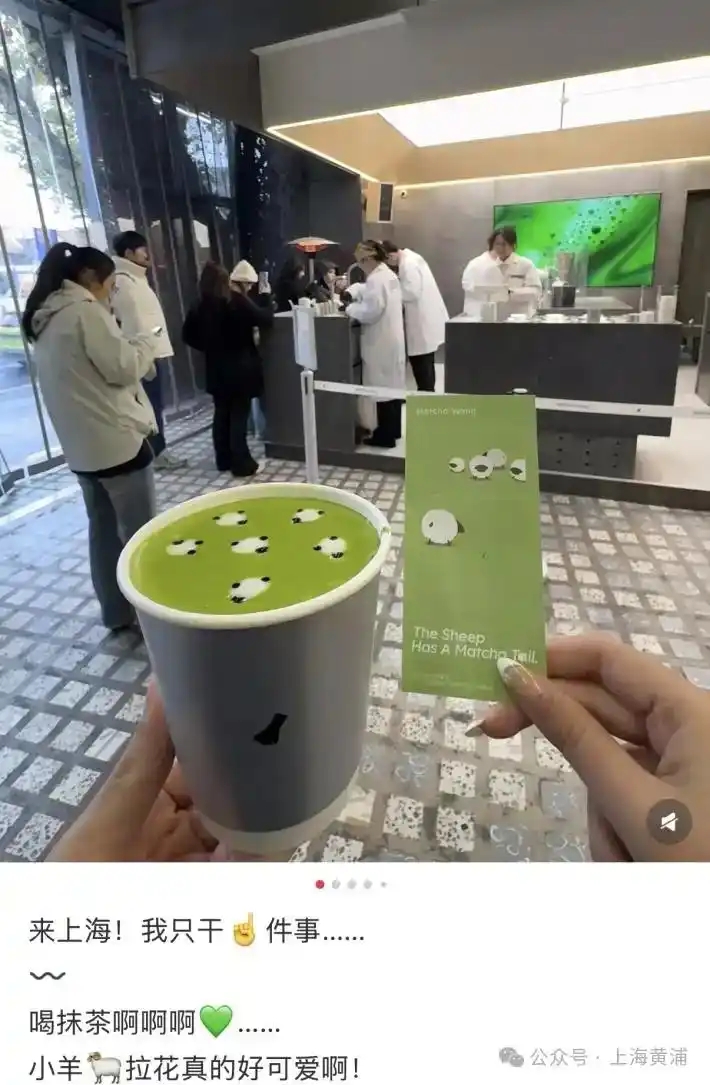 “杀羊计划”席卷上海。小红书@你大肉呀