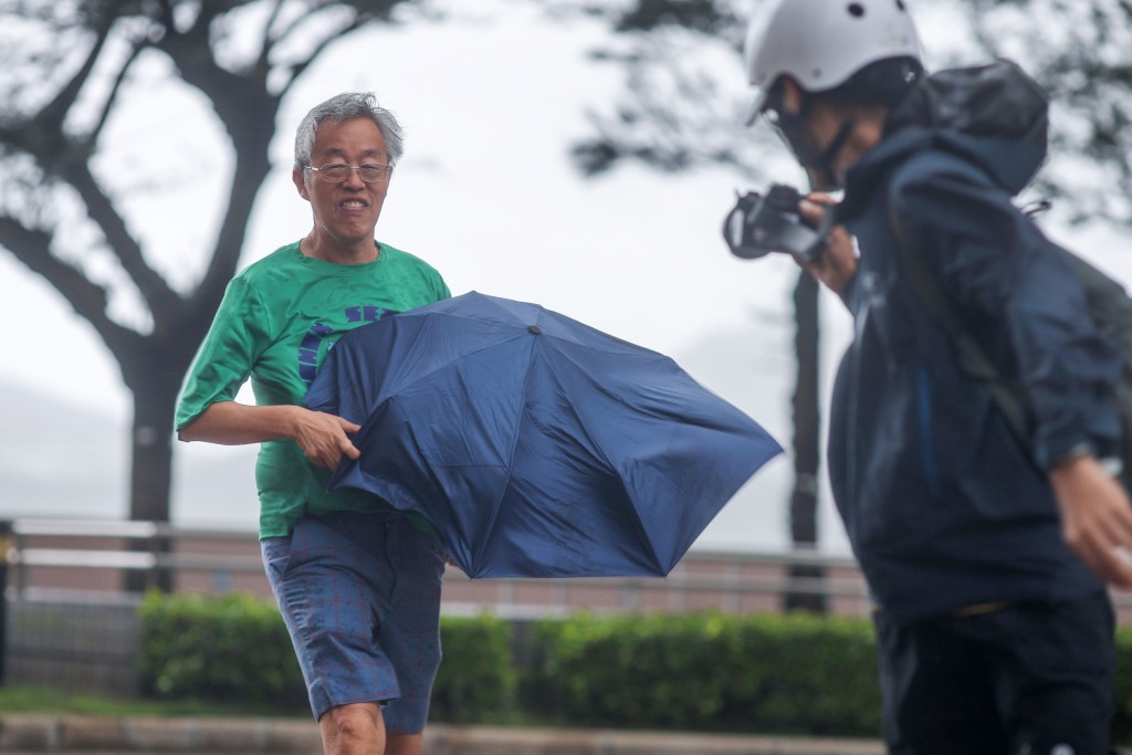 何家豪攝 何家豪攝