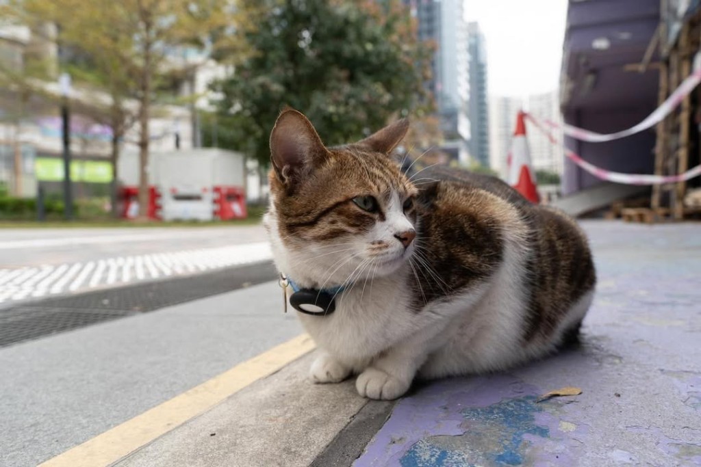 ig@npcat_at_pier ig@npcat_at_pier