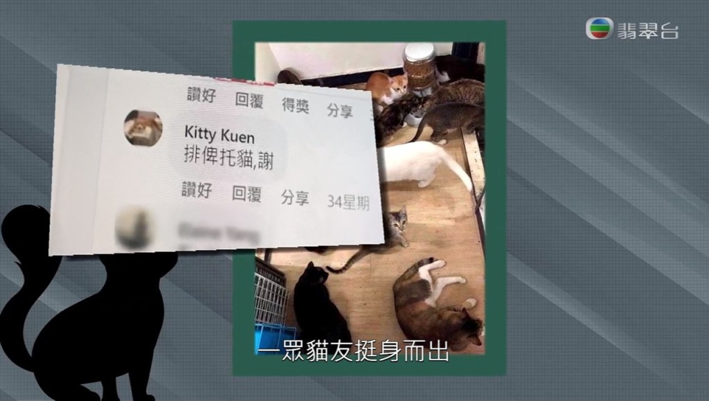 《東張西望》報導有多位貓友疑被一名假貓義工呃物資。