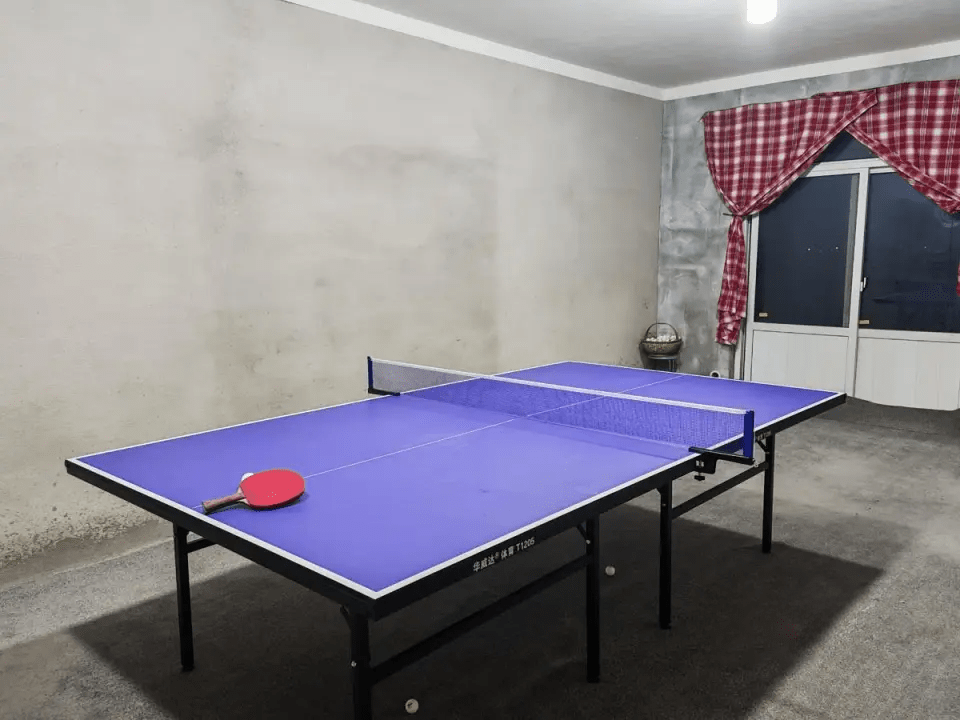 單位客廳中央擺放著球枱，地面及牆角均鋪有毛氈墊。（圖片來源：極目新聞）