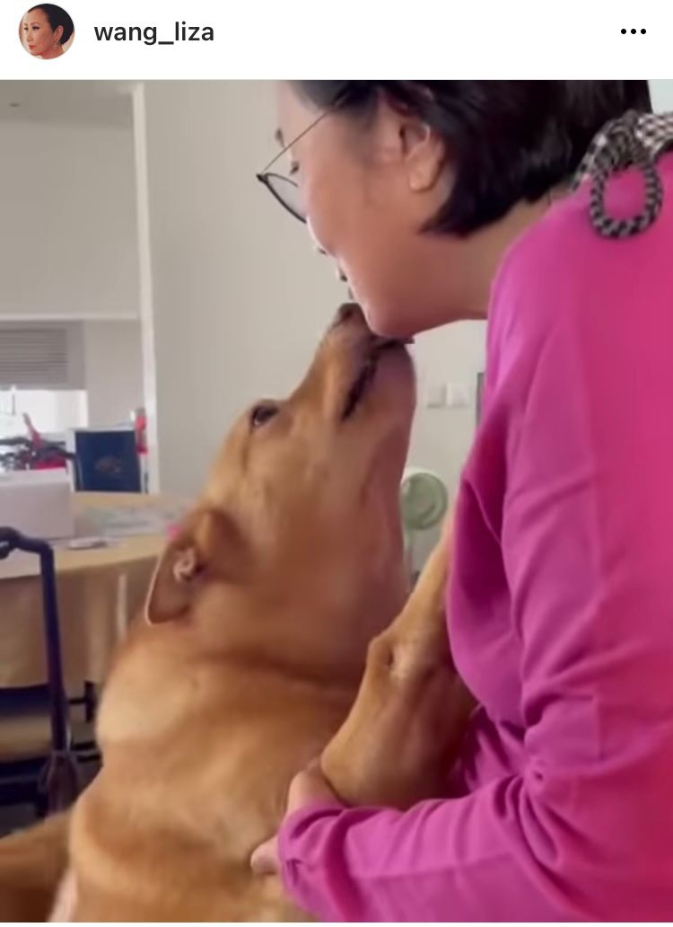 汪明荃去年生日有爱犬陪伴。