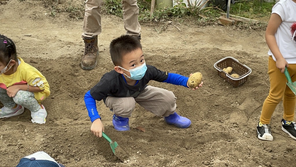 親手從田間找到薯仔，相當興奮。
