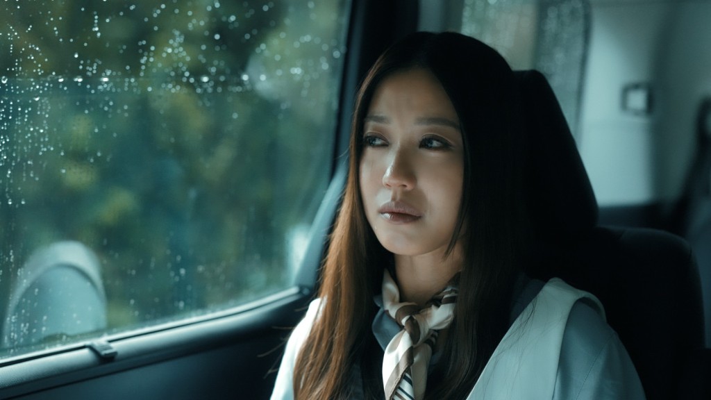 自編自導自演的芯駖會不停質疑自己：「呢個情緒夠唔夠真？」