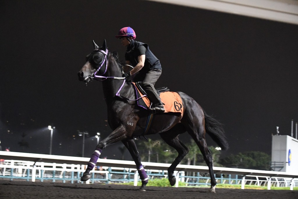 「鹦姿威鹉」可继续操练应没有大碍，此马将于下周一第一场在港初次出赛。