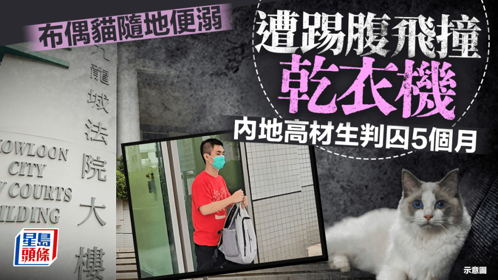 起腳踢室友布偶貓虐畜罪成 內地高材生判囚5個月 官斥行為於文明社會絕對不容忍
