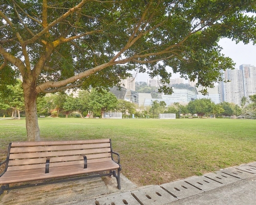 數碼港公園。資料圖片