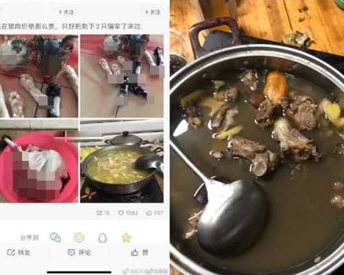 內地有網民張貼宰貓,以及煮狗肉的照片,被網民狂轟冷血。(網圖)