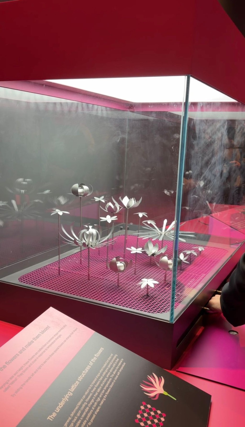 於創科廊的展品「花之變形」，了解形狀記憶合金製成的花朵如何除溫度開合。（圖片來源：《親子王》）