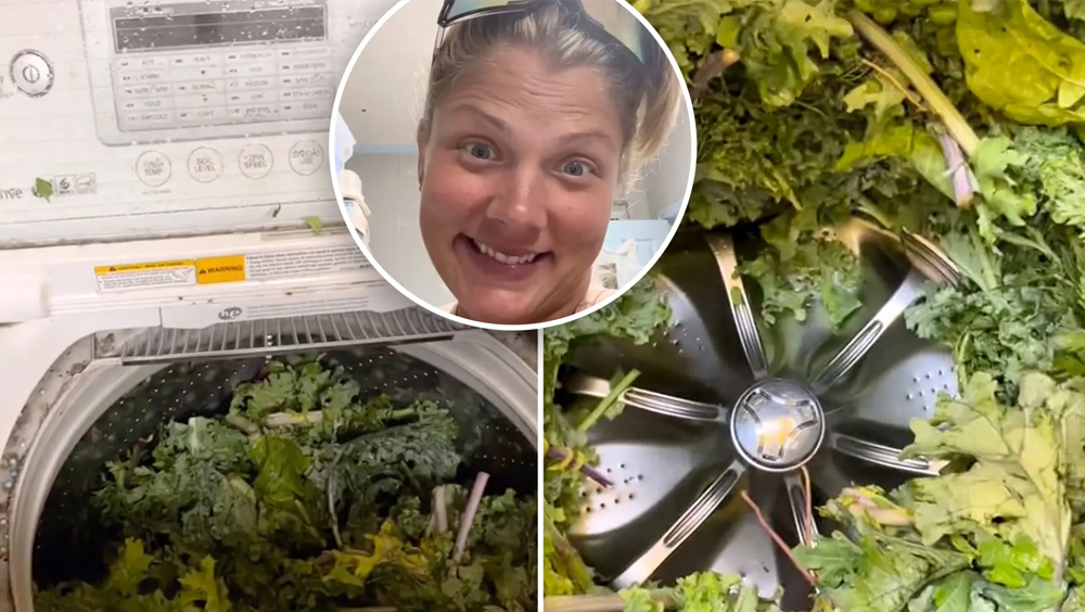 用洗衣機洗沙律菜，女子曬奇葩洗菜法惹議。