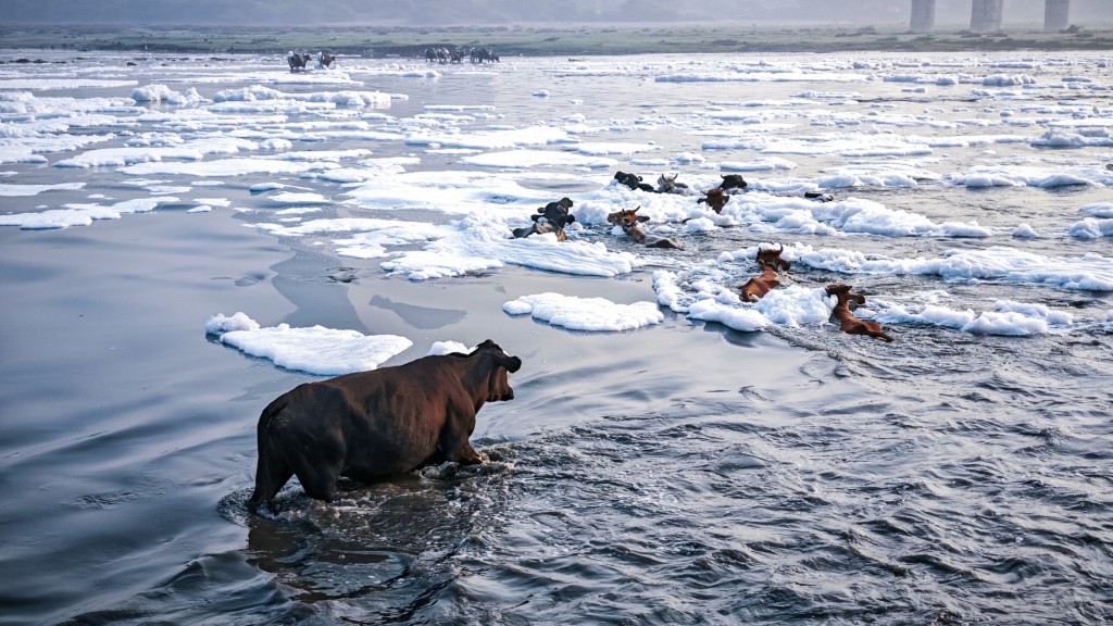 受污染的亞穆納河飄浮着白色泡沫。 iStock示意圖
