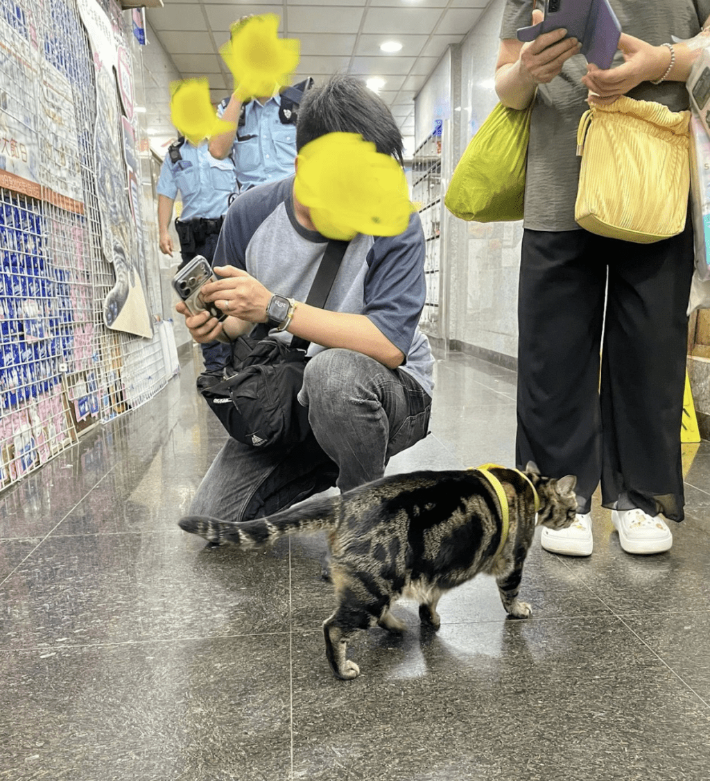 其中一張相片更拍到一名疑似便衣警員半蹲身體、溫柔靠近阻B，畫面溫馨有趣。「阻B關注組」