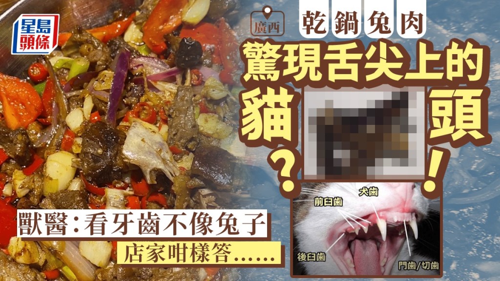 顧客疑在乾鍋兔肉食出貓頭,廣西店家稱憑良心做事,調查清楚後會聯繫顧客。
