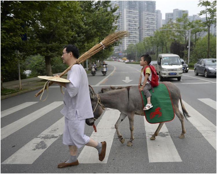 騎驢過馬路。網圖