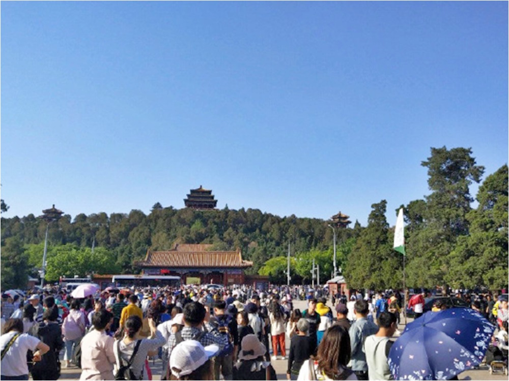 網圖
