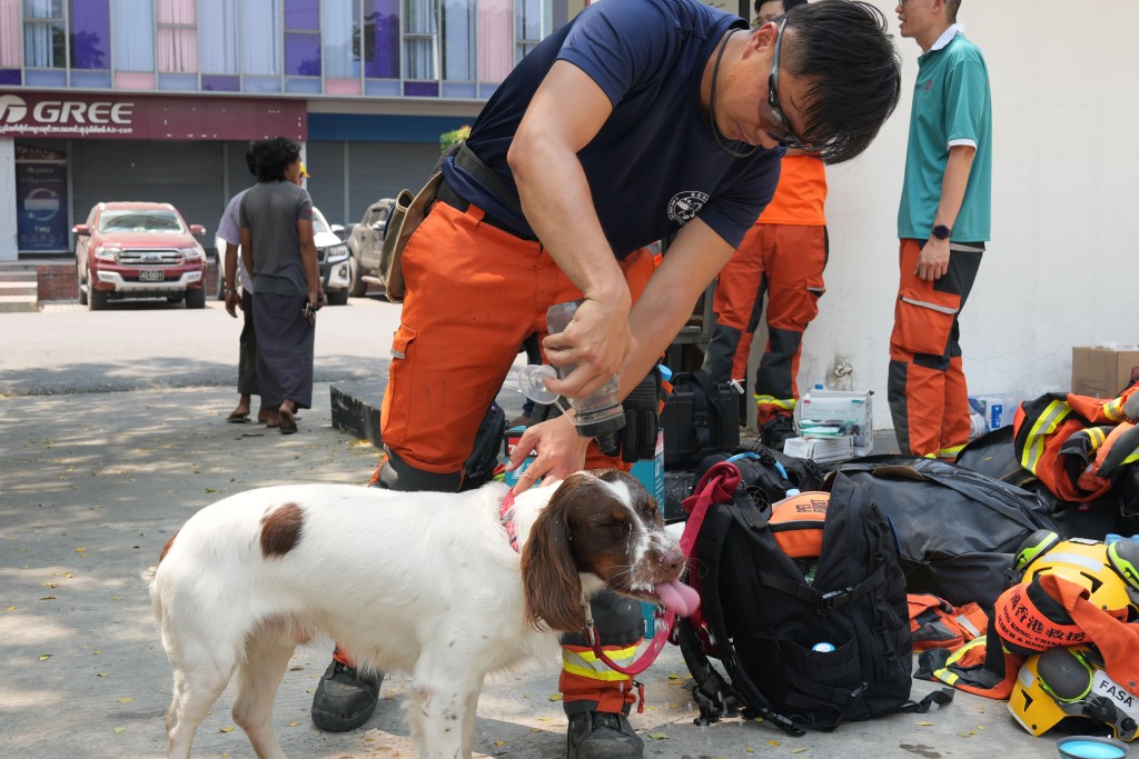因應緬甸天氣酷熱，領犬員為搜救犬準備了電風扇、冰袋、電解質水等，以作降溫之用。 香港消防處提供圖片
