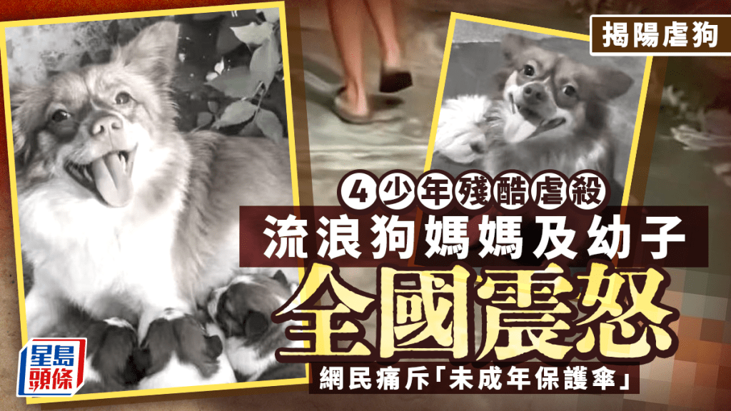 揭陽虐狗 | 少年當街殘殺犬母子全國震怒  網民：未成年不應成縱容保護傘