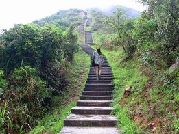 「黃帽子」人在野。網圖