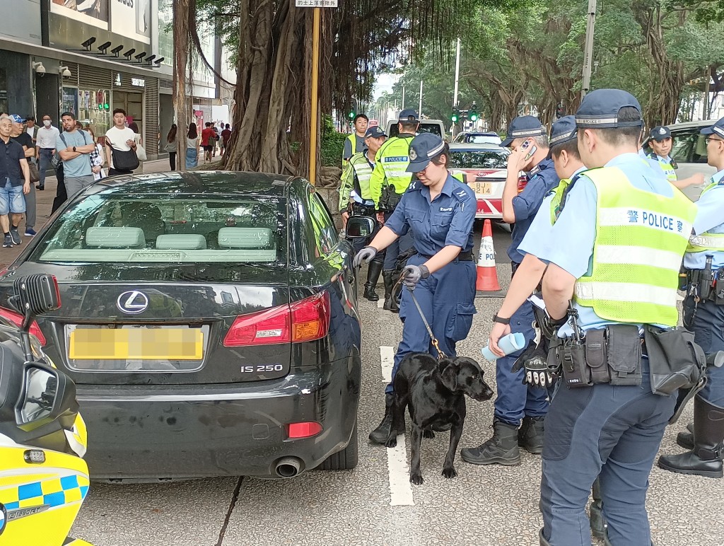 警员出动缉毒犬搜车。