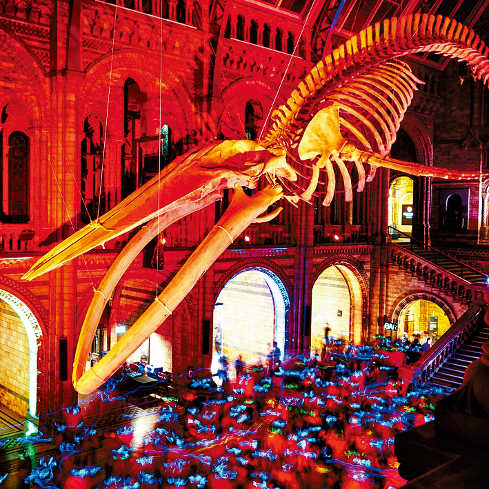 理大酒店及旅游业管理学院讲师陈骏辉指，伦敦自然历史博物馆举办「静音派对」大受欢迎，建议参考推行。