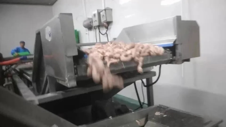 内媒揭发河南多间工厂用鸡脖泥做馅料，撒尿牛丸“牛肉味纯靠牛肉膏（香精）”！ 闪电新闻