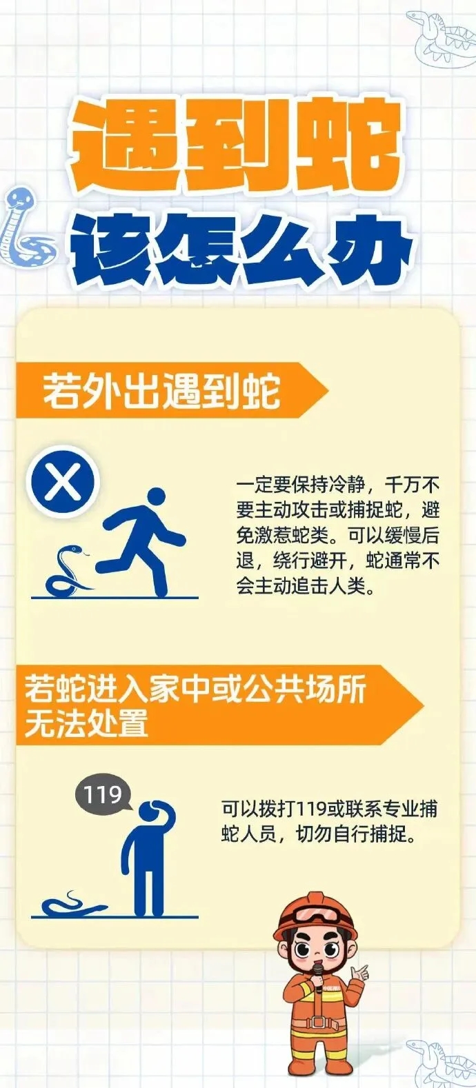 遇到蟒蛇怎麼辦? 中國消防 遇到蟒蛇怎麼辦? 中國消防