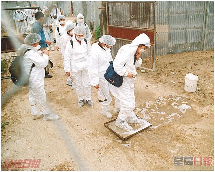 漁護處人員出入雞場均須消毒。資料圖片