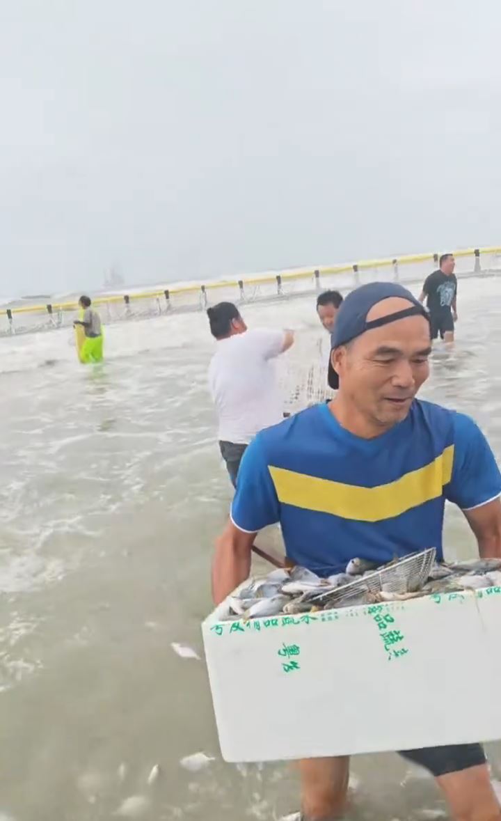台风“红霞”过后，惠州双月湾海滩出现无数金鲳鱼。小红书＠雄韬视觉 