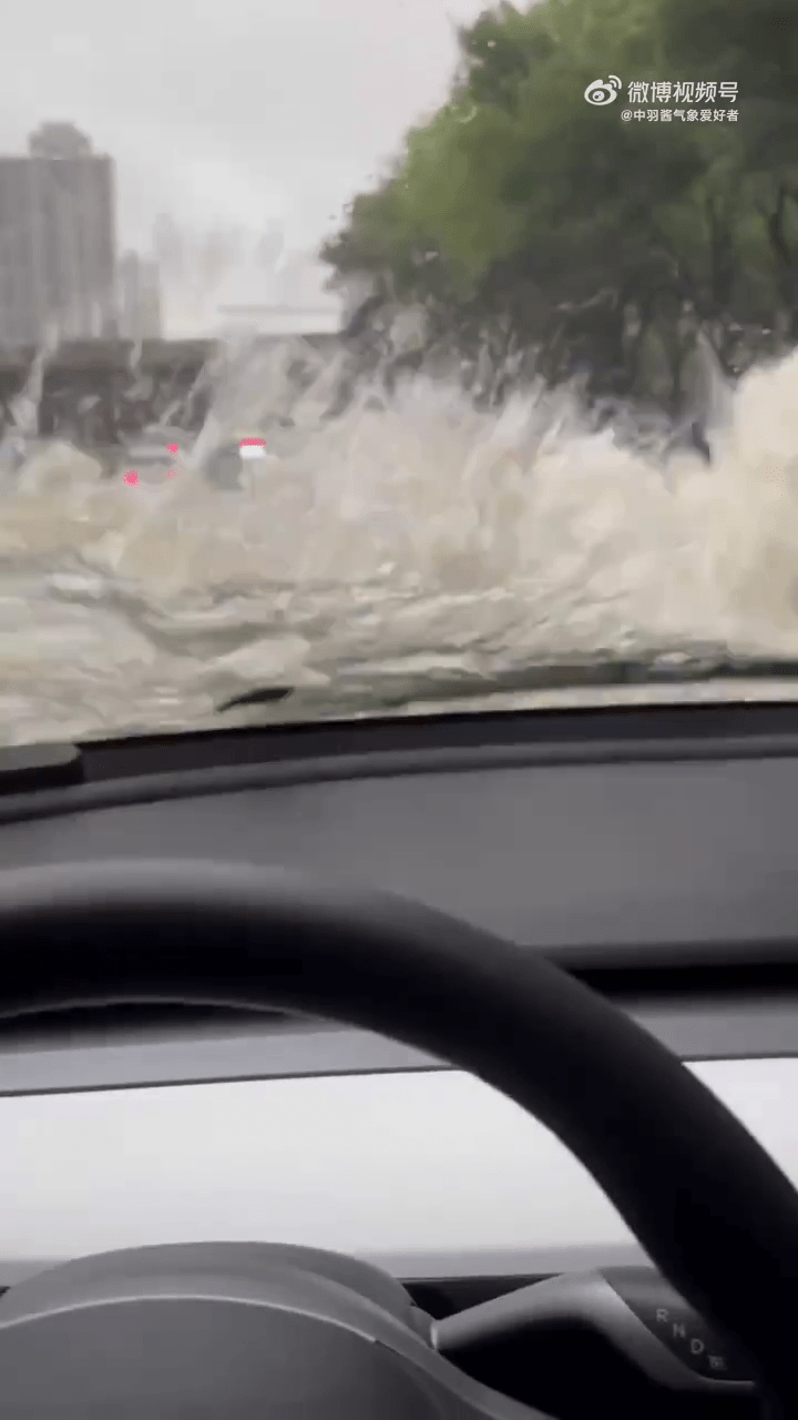 有鄭州車主發布影片稱在暴雨中積水已至擋風玻璃，行車視線被阻。。