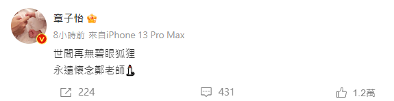 章子怡在微博發文表示，「世間再無碧眼狐狸，永遠懷念鄭老師」。