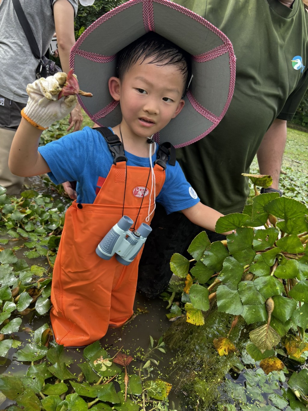 農夫事先把生態池水位 降低，讓小孩亦可安全進 入採收菱角。另外，家長 亦需提醒隨行幼童切勿於 未有職員陪同及指導下擅自進入生態池及農田管理範圍，免生危險。（圖片來源：《親子王》）