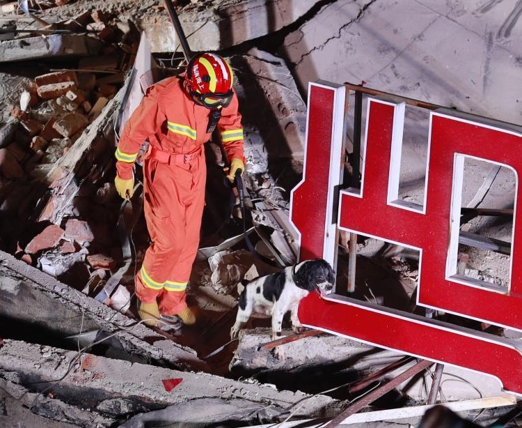 當局出動搜救犬在現場尋找失蹤人士。