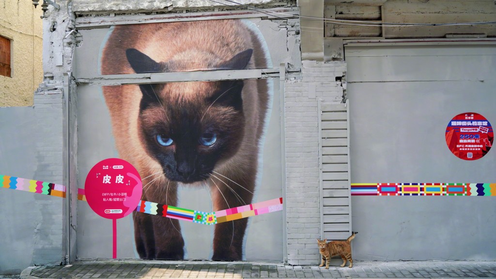 牆壁上畫上巨大的貓咪。(微博)