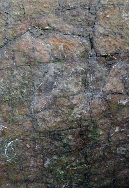 岩壁上發現手獸足跡。網上圖片