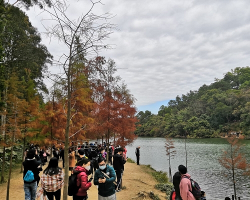 流水響水塘相當熱鬧。讀者提供