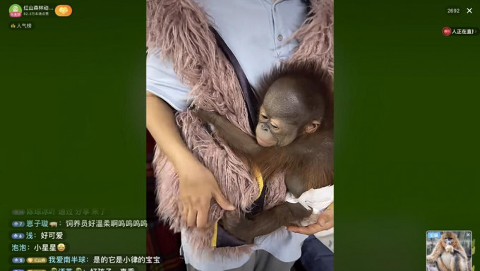 南京动物园疫下关闭缺钱 动物直播卖萌开放助养筹款救园