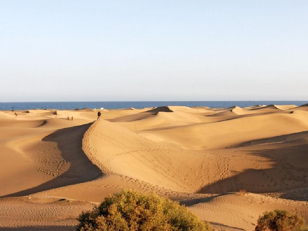 西班牙大加那利島上的馬斯帕洛馬斯沙丘屬於自然保育區。（網上圖片）