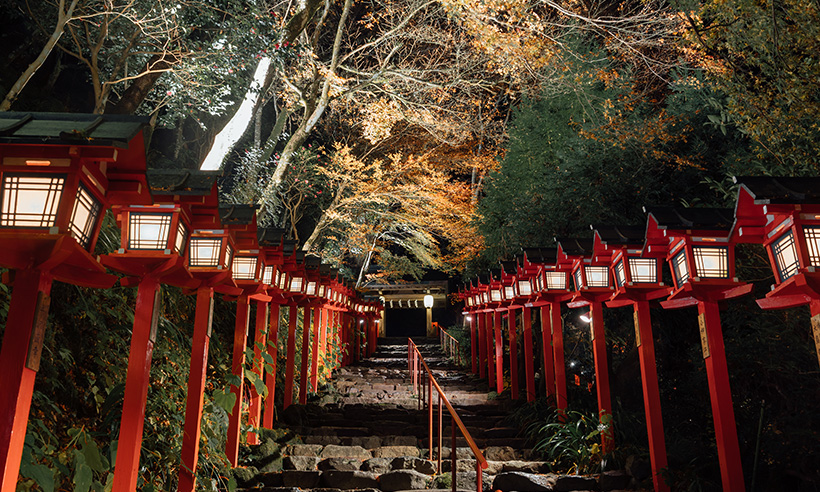 在秋日晚上亮燈後的貴船神社參道，跟紅葉構成一幅美麗圖畫。