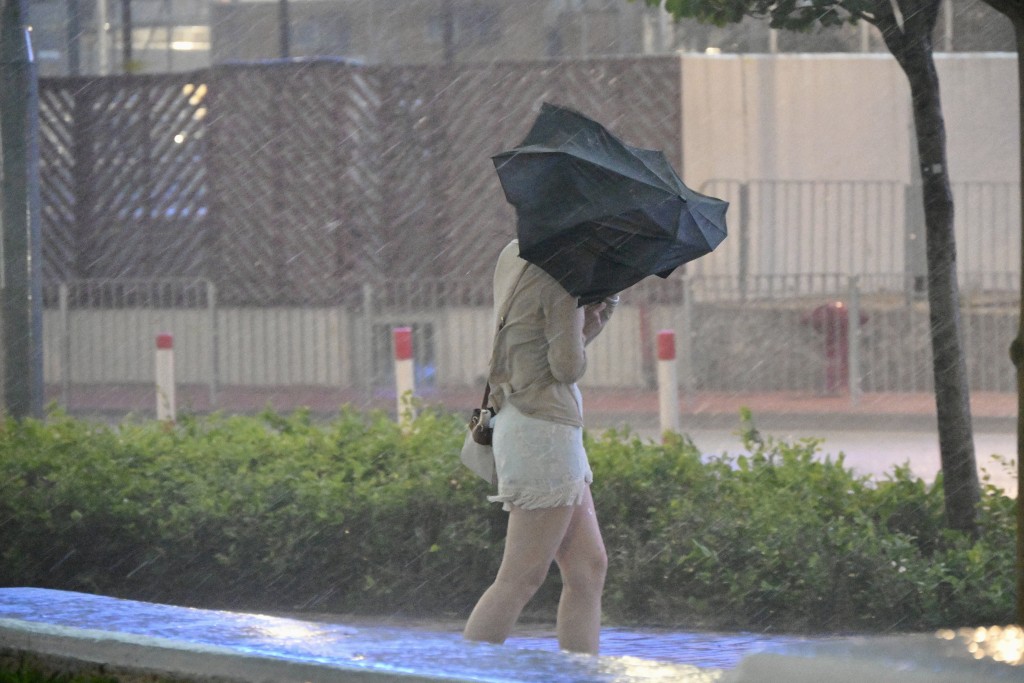 本港今日受强风雷暴雨影响。苏正谦摄