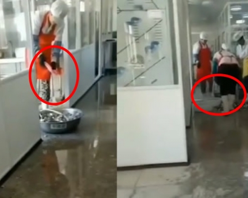 遼寧一小學用洗衣粉清洗學生餐具，負責人已被停職。影片截圖